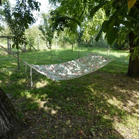 Serbian Village Farmhouse * Stara Moravica